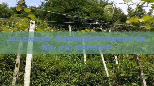大庆到贵州黄果树瀑布四日游