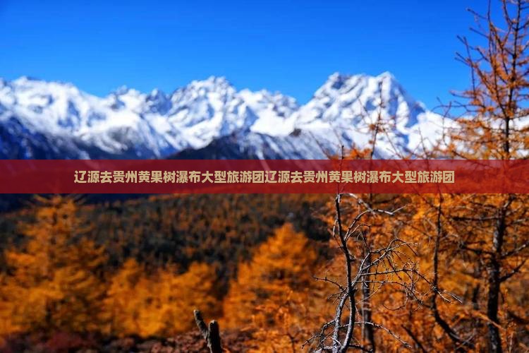 辽源去贵州黄果树瀑布大型旅游团