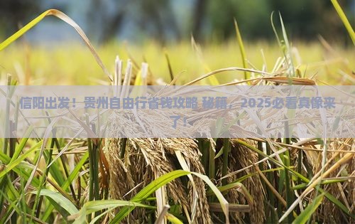 信阳去贵州自由行