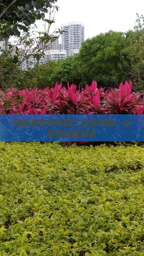 信阳去贵州贵阳二日游