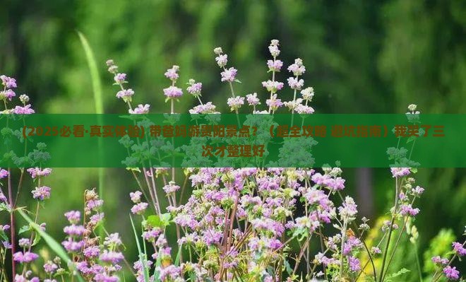 孝感到贵州贵阳景点