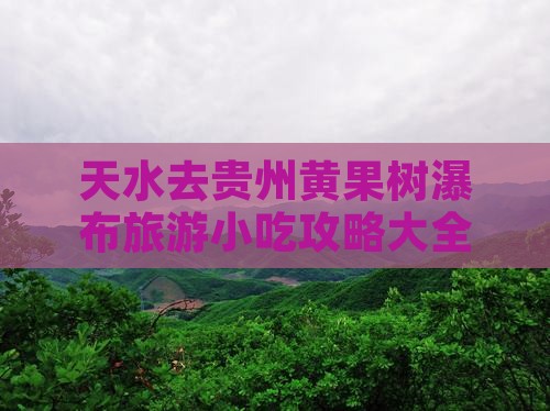 天水去贵州黄果树瀑布旅游小吃