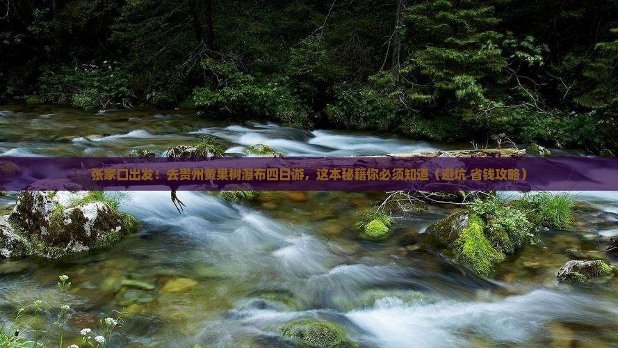 张家口去贵州黄果树瀑布四日游