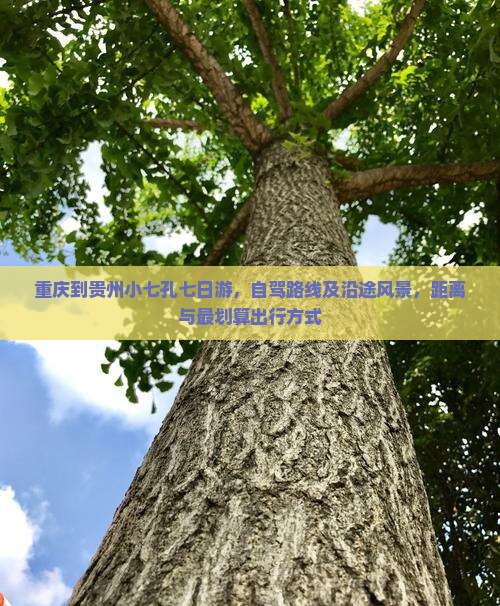 重庆到贵州小七孔七日游