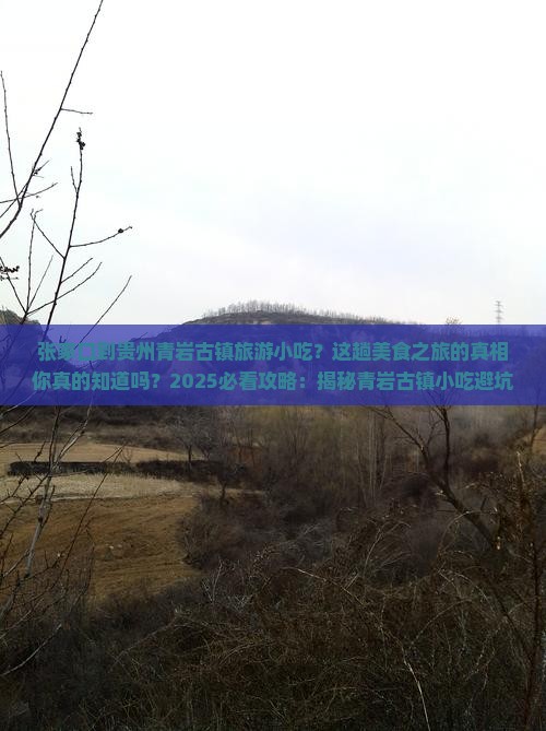 张家口到贵州青岩古镇旅游小吃