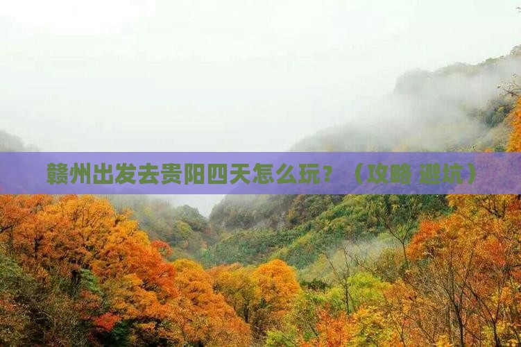 赣州到贵州贵阳四日游