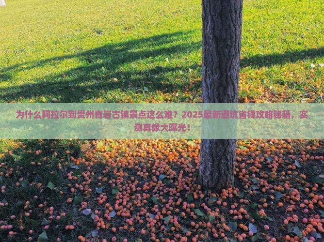 阿拉尔到贵州青岩古镇景点