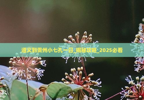 遵义到贵州小七孔一日