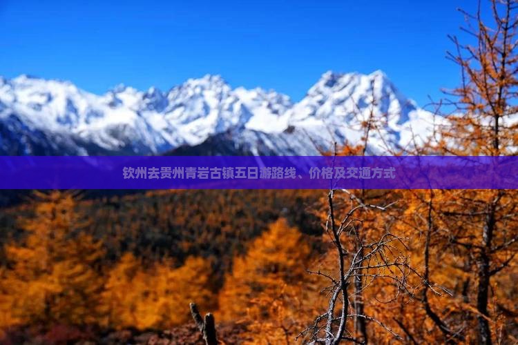 钦州去贵州青岩古镇五日游