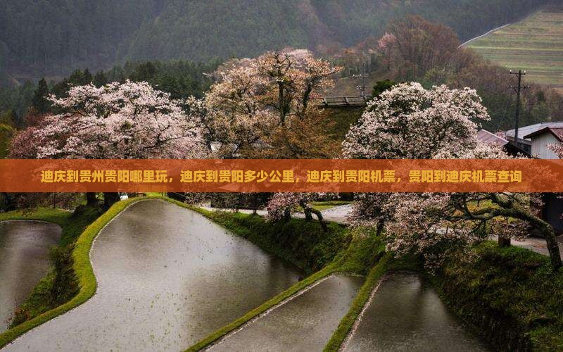 迪庆到贵州贵阳哪里玩