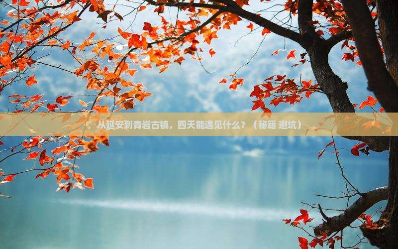 延安到贵州青岩古镇四日游