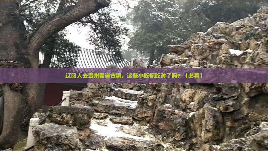辽阳去贵州青岩古镇旅游小吃