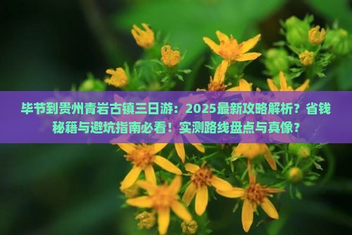 毕节到贵州青岩古镇三日游