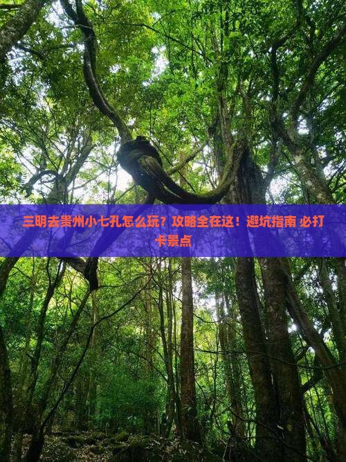 三明去贵州小七孔攻略