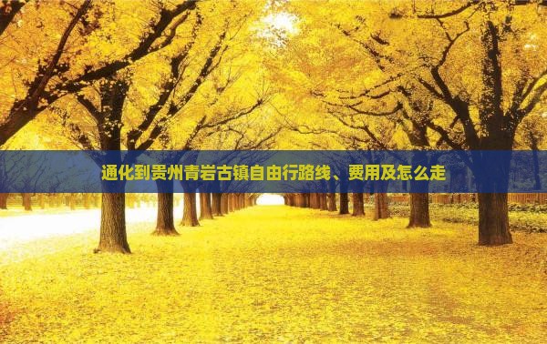 通化到贵州青岩古镇自由行