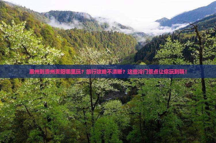 惠州到贵州贵阳哪里玩