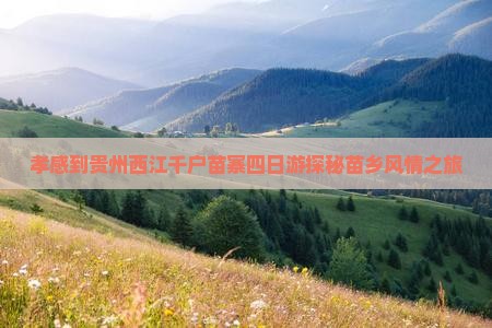 孝感到贵州西江千户苗寨四日游