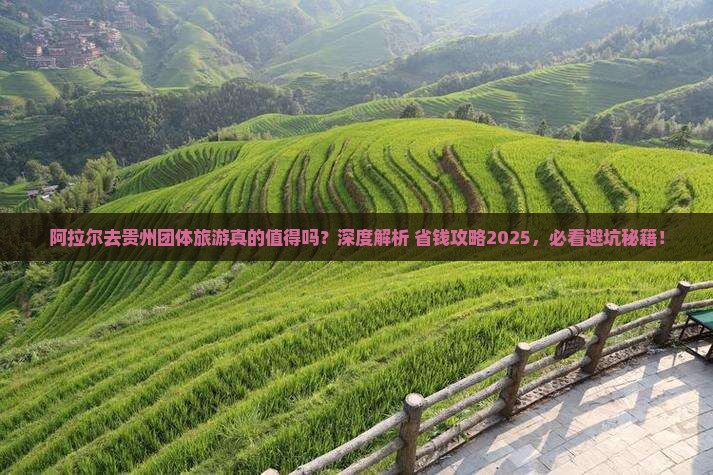 阿拉尔去贵州团体旅游
