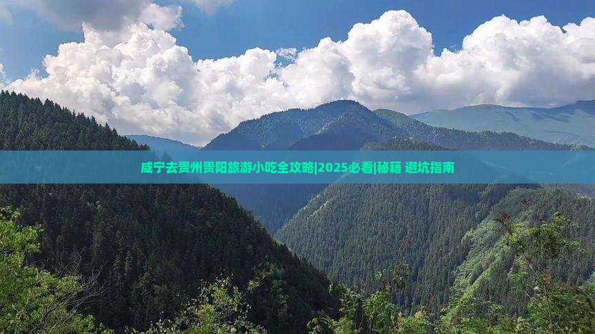咸宁去贵州贵阳旅游小吃