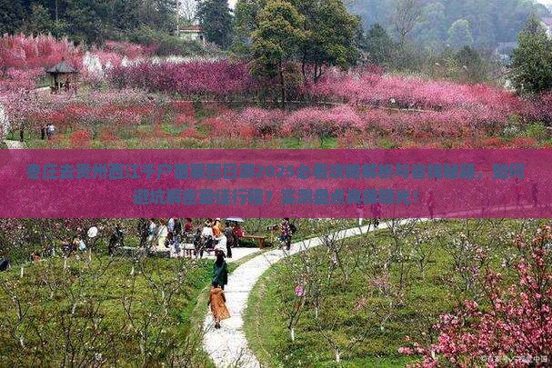枣庄去贵州西江千户苗寨四日游