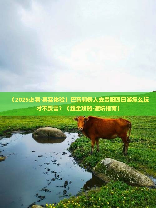 巴音郭楞去贵州贵阳四日游
