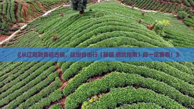 辽阳到贵州青岩古镇自由行