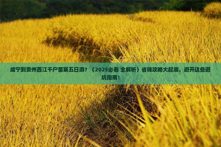 咸宁到贵州西江千户苗寨五日游