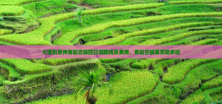 大理到贵州青岩古镇四日游