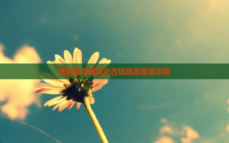 塔城去贵州青岩古镇旅游小吃