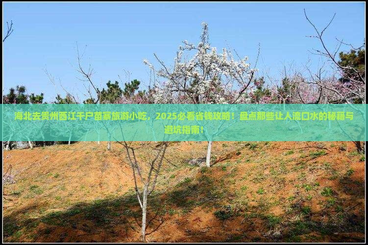 海北去贵州西江千户苗寨旅游小吃