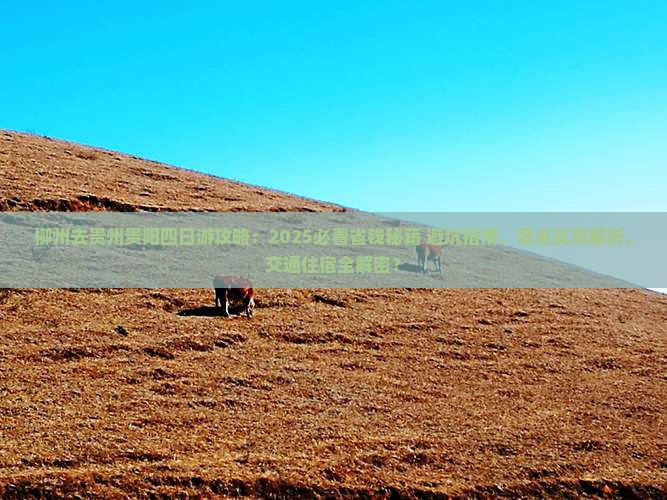 柳州去贵州贵阳四日游