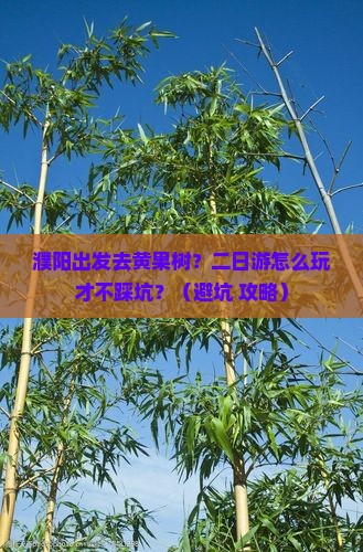 濮阳到贵州黄果树瀑布二日游