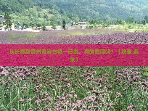 长春到贵州青岩古镇一日
