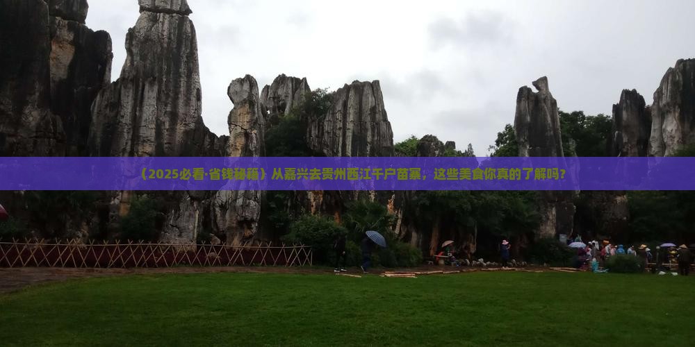 嘉兴到贵州西江千户苗寨旅游小吃