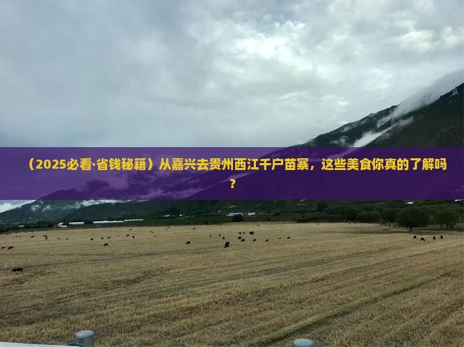 嘉兴到贵州西江千户苗寨旅游小吃