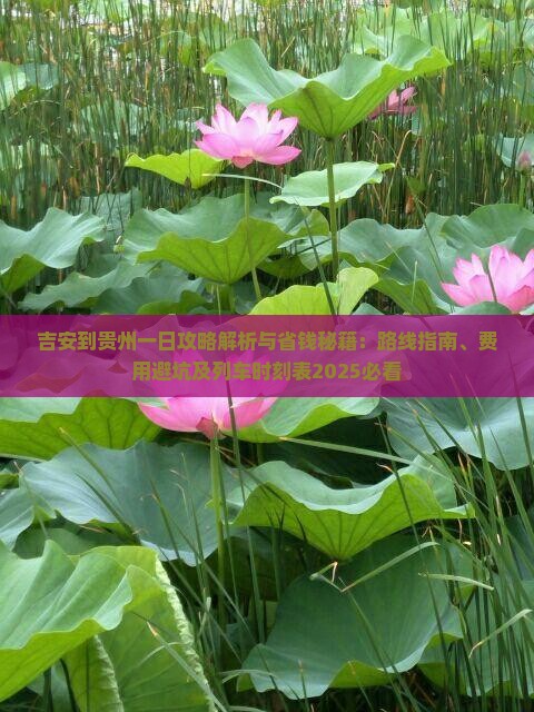 吉安到贵州一日