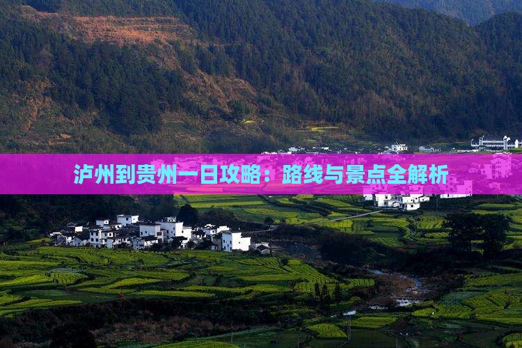 泸州到贵州一日