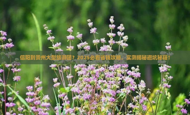 信阳到贵州大型旅游团