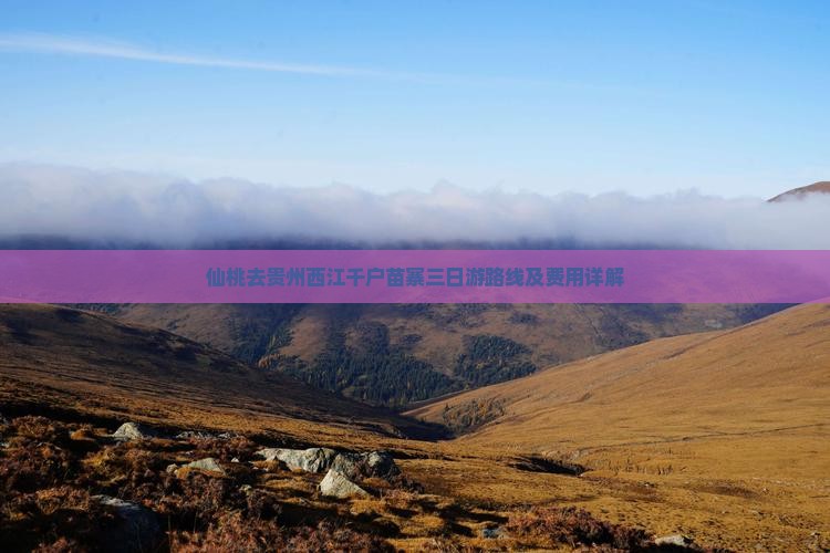 仙桃去贵州西江千户苗寨三日游