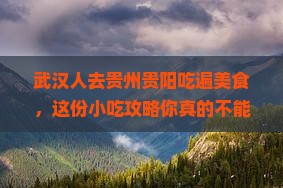 武汉去贵州贵阳旅游小吃