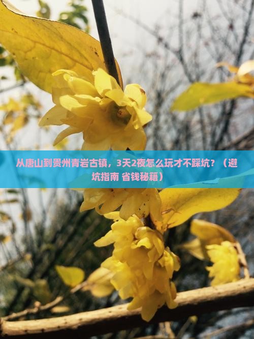 唐山到贵州青岩古镇旅游