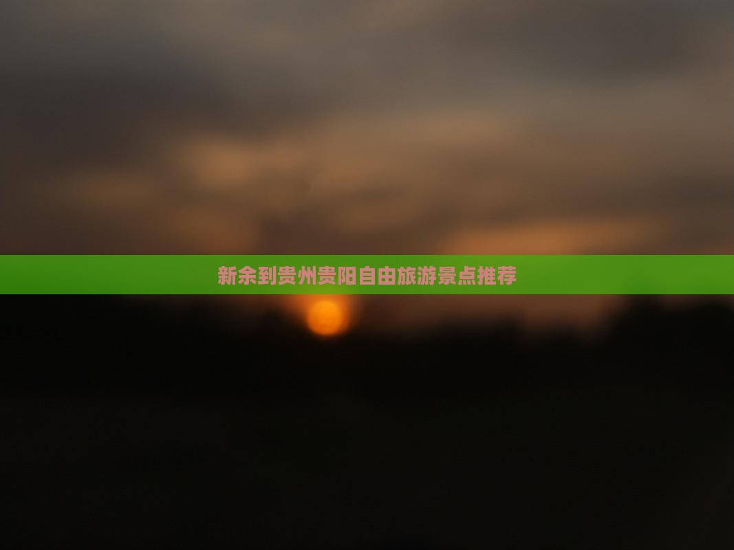 新余到贵州贵阳自由团