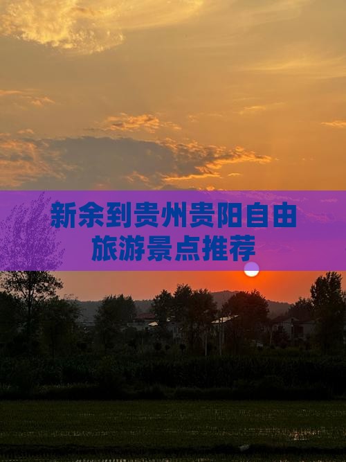 新余到贵州贵阳自由团