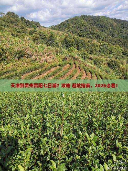 天津到贵州贵阳七日游