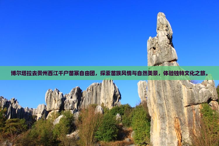博尔塔拉去贵州西江千户苗寨自由团