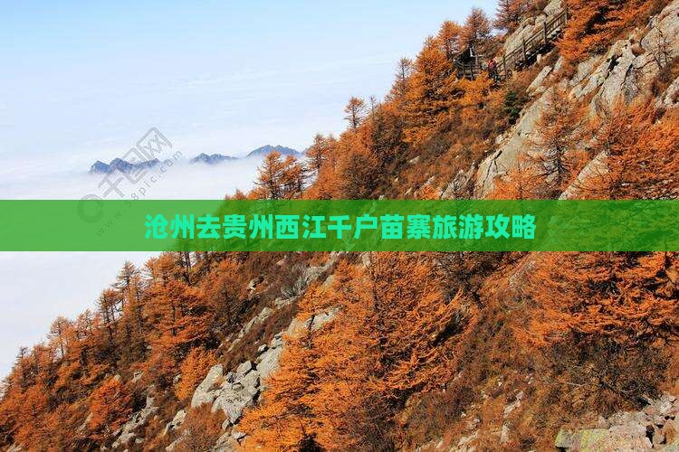 沧州去贵州西江千户苗寨门票