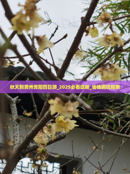 秋天到贵州贵阳四日游