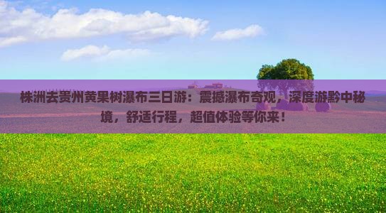 株洲去贵州黄果树瀑布三日游