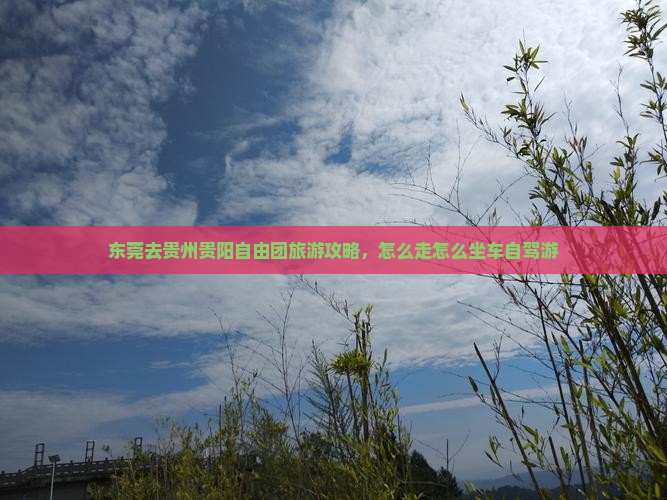 东莞去贵州贵阳自由团