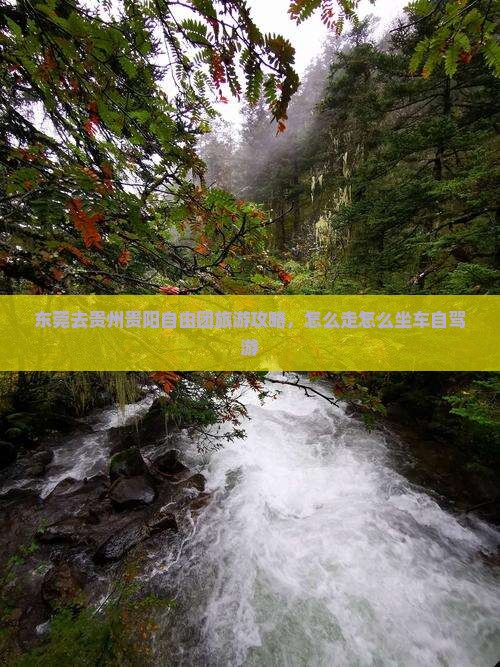 东莞去贵州贵阳自由团